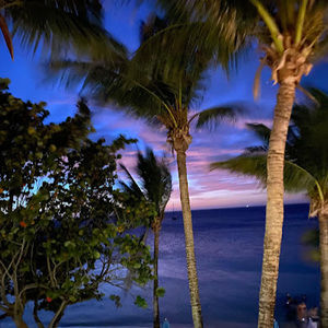 Meet your Posher, Cami